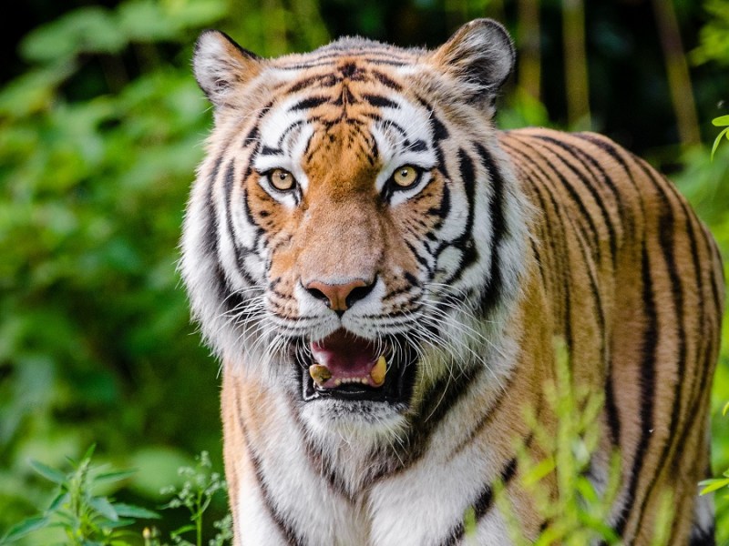 Brands and behavioural change: learning from UK coronavirus&nbsp;communication