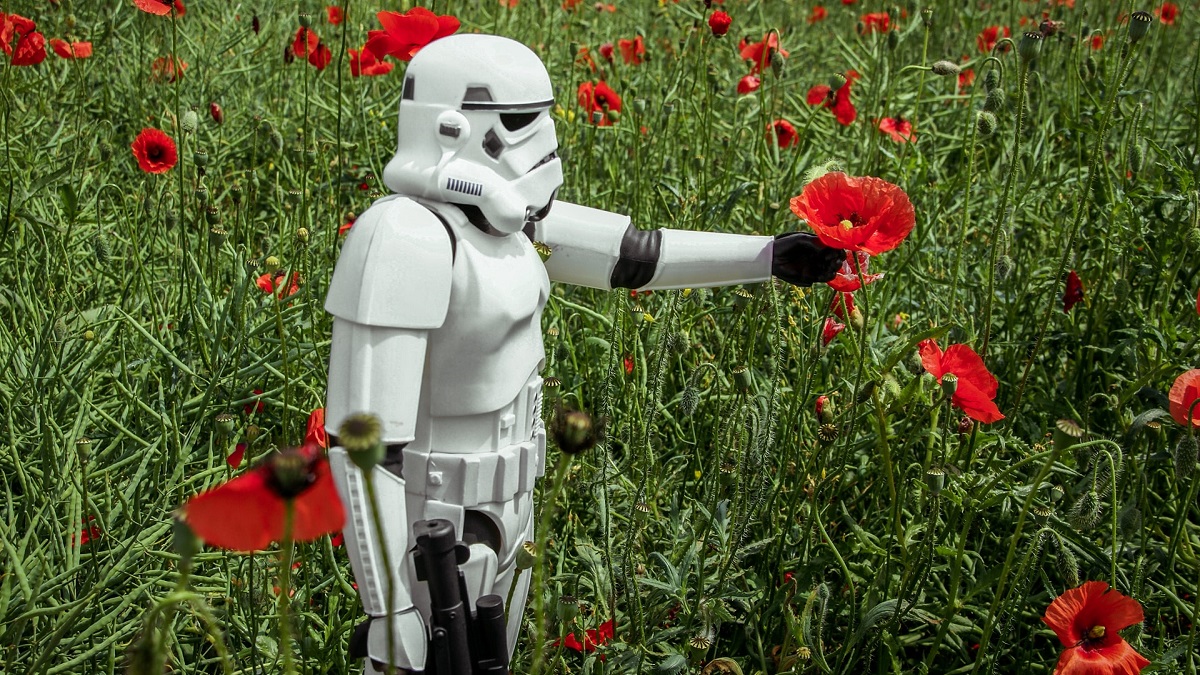 Credit: katarzyna-pe-Twe3VxJlDiY-unsplash