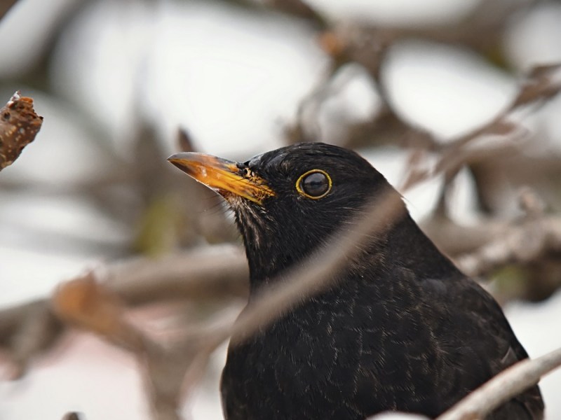 Five fun ways to reach your audiences during COVID-19&nbsp;lockdowns