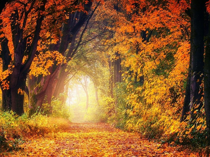 Warm employee engagement for the cold, dark&nbsp;days