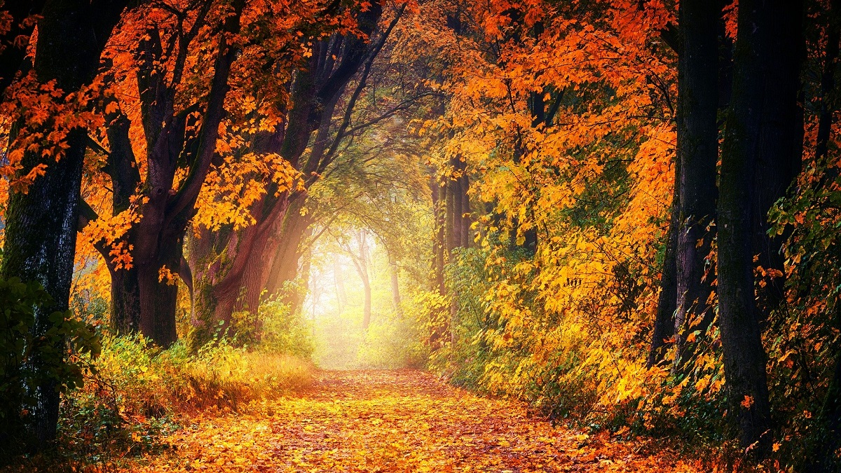 Autumnal employee engagement in Oxfordshire and beyond